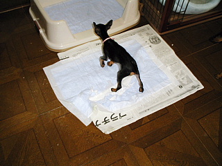 c0123149_1847414.jpg