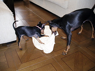 c0123149_1849858.jpg