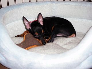 c0123149_1850432.jpg