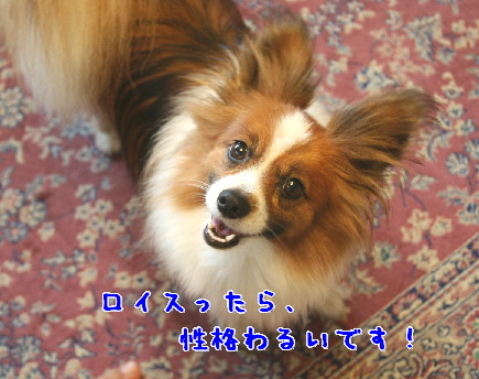 d0013149_1284849.jpg