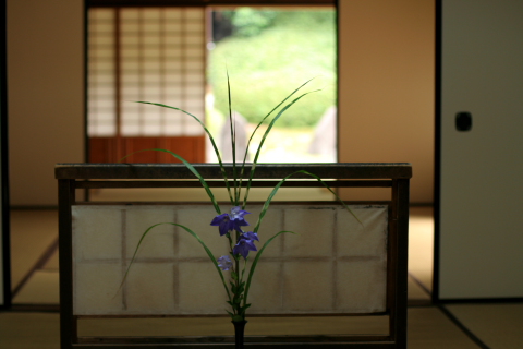 a0024250_053769.jpg