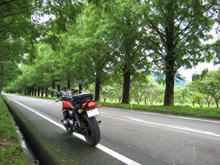 a0052952_0102082.jpg