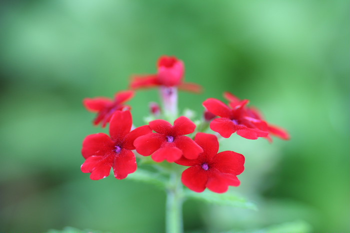 f0148762_20243219.jpg