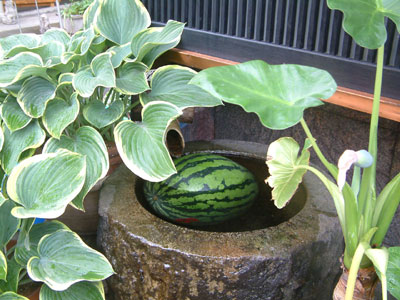c0050264_10244552.jpg