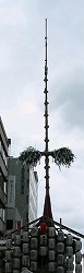 e0041168_9454846.jpg