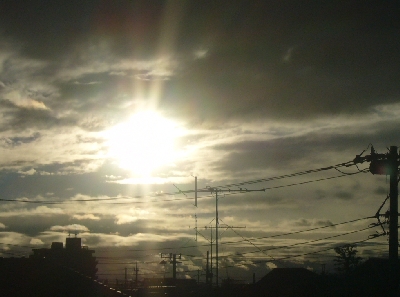 b0069169_143677.jpg