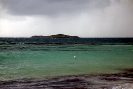 d0117077_15185596.jpg