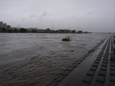 c0091679_23491258.jpg