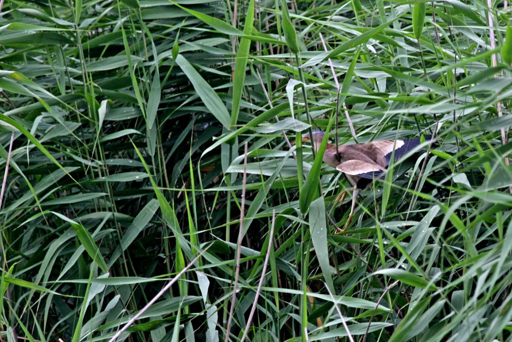 a0083081_1741292.jpg