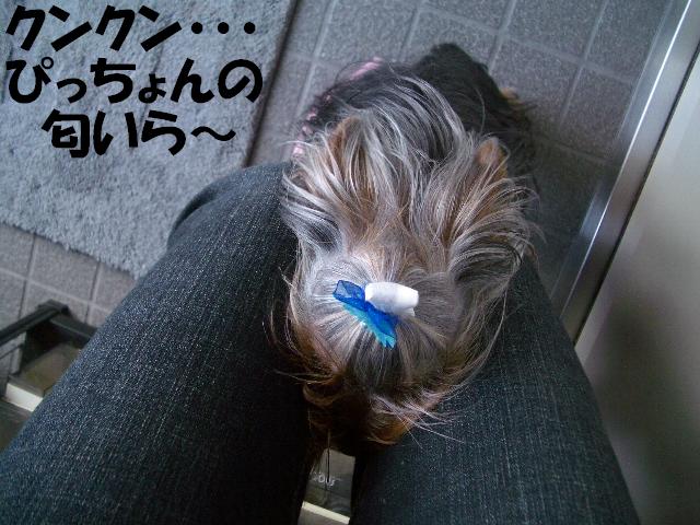 c0031582_17453215.jpg
