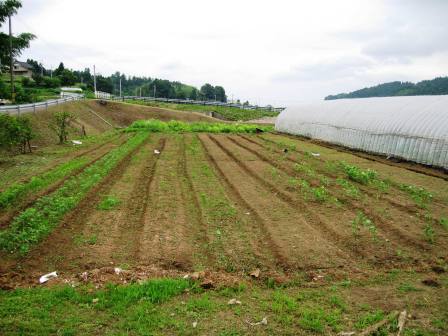 f0130983_17351329.jpg