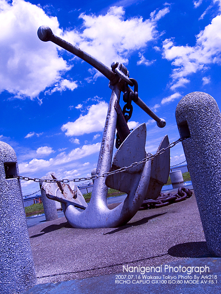 a0081685_1681367.jpg