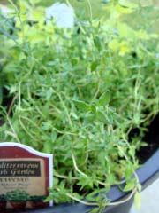 c0103793_8592570.jpg