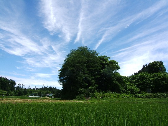 d0085096_21271894.jpg