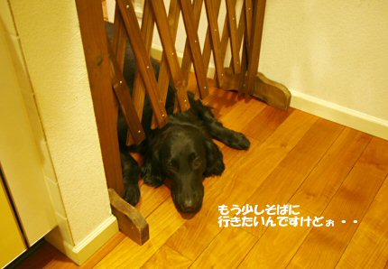 c0050400_20564266.jpg