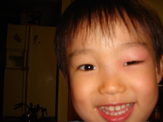 d0091001_23561364.jpg