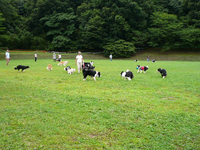 e0028401_0425392.jpg