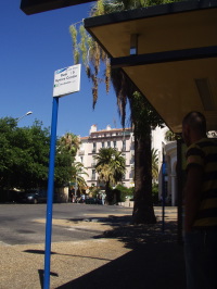 a0060003_344669.jpg