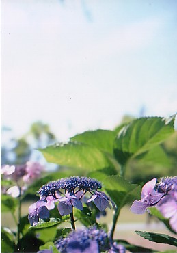 f0121111_23534734.jpg