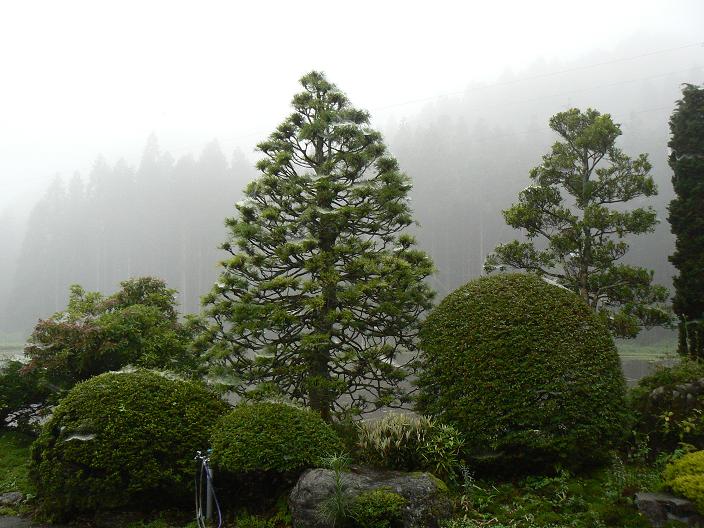 c0086014_21412639.jpg