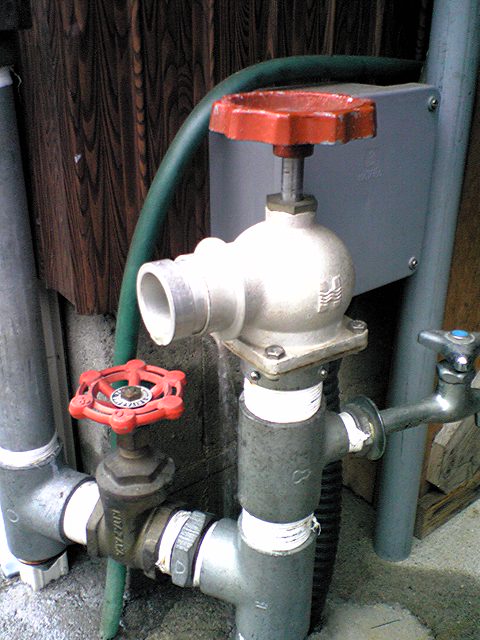 f0023916_1130205.jpg
