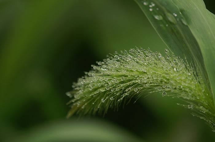d0089024_2010386.jpg