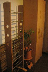 f0028125_14039.jpg