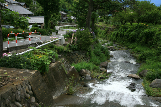f0081726_2225725.jpg