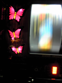 f0065228_016431.jpg