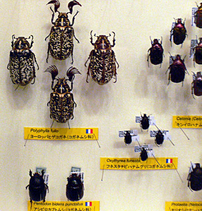 a0046429_19472738.jpg