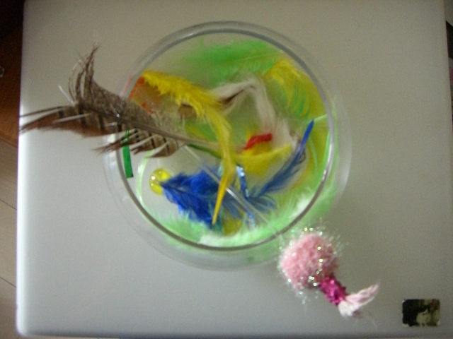 a0090729_1995868.jpg