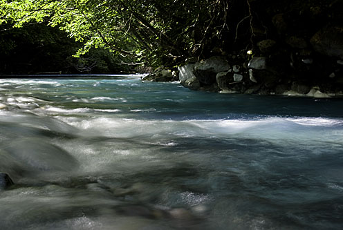 e0025030_1382443.jpg