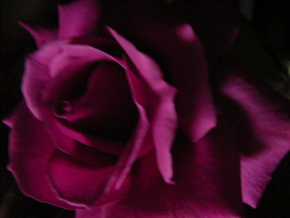a0070831_9165295.jpg
