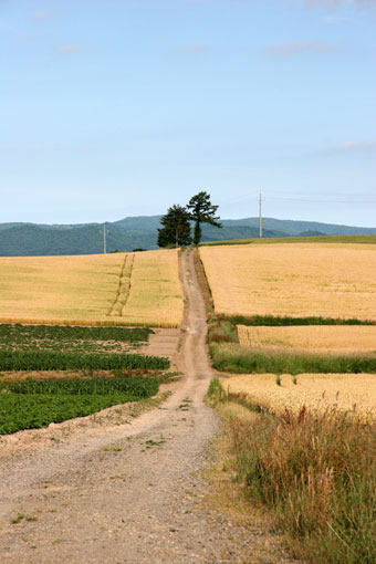d0069235_23535.jpg