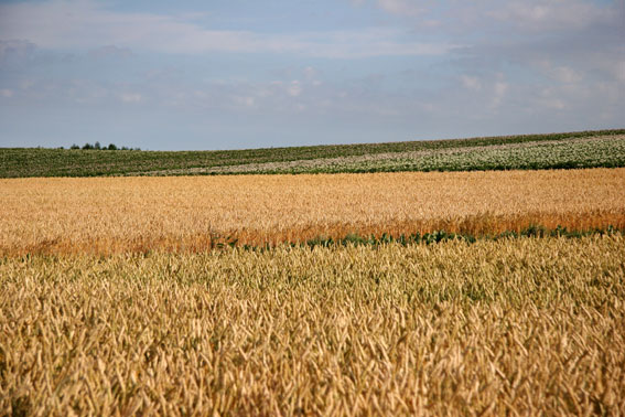 d0069235_2394931.jpg