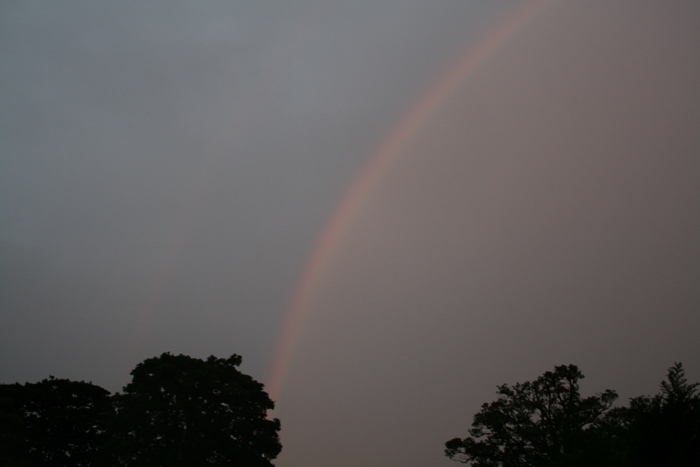 d0077740_1534143.jpg