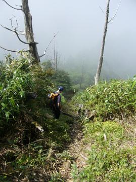 f0065941_1027332.jpg