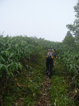 f0065941_1045391.jpg