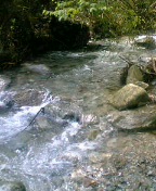 d0090842_2312577.jpg