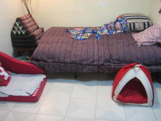 e0018143_431869.jpg