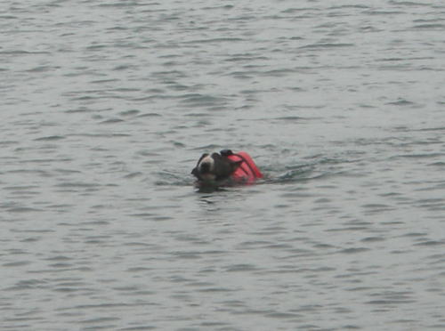 f0094843_032451.jpg