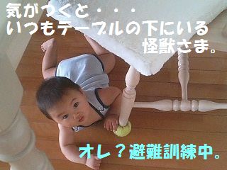 a0090451_23121430.jpg