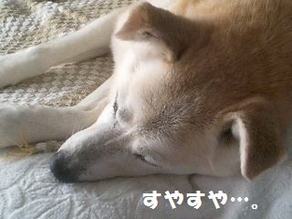 a0090451_23213264.jpg