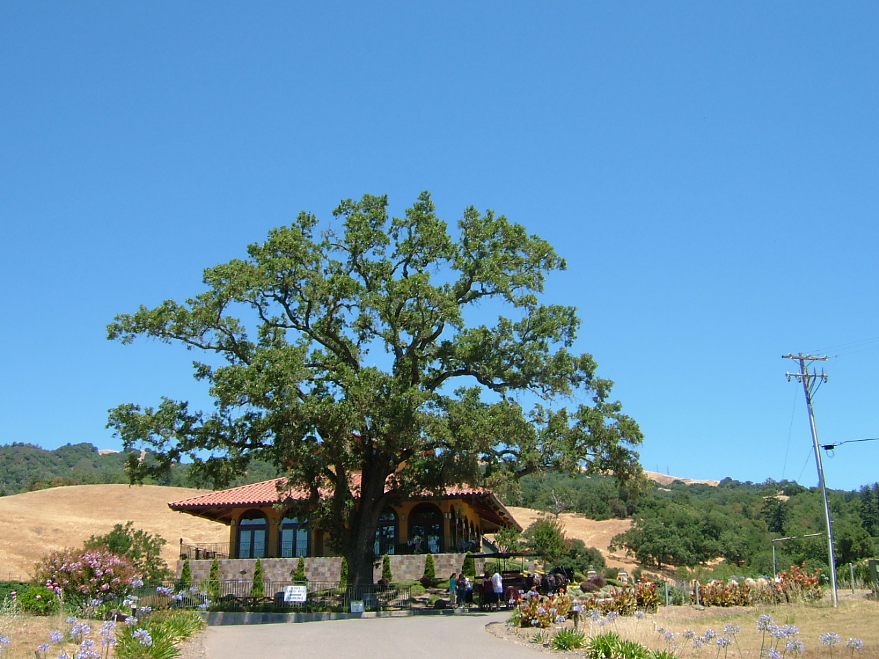 c0078451_13165734.jpg