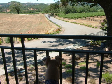 c0078451_13291374.jpg
