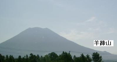 a0021554_814495.jpg