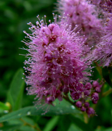 d0091754_15583860.jpg