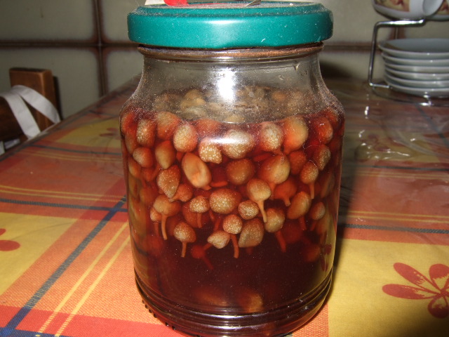 e0104154_3204013.jpg