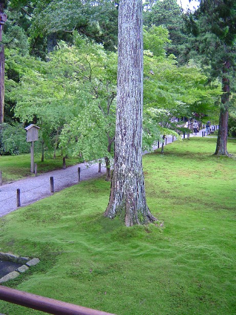 c0119457_9404295.jpg