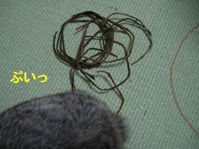 f0104057_1953362.jpg